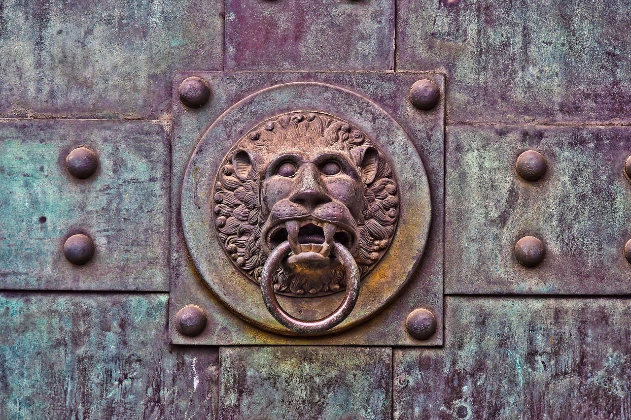 Lion head, door knocker, door in Mount Pleasant, SC